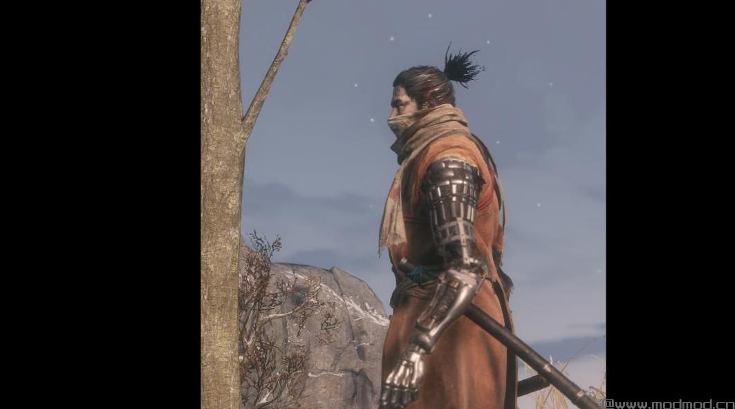 清洁默认Sekiro-Facemask-所有金属修复手臂下载+安装说明