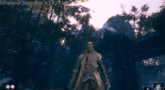 Sekiro Beggar外套下载+安装说明