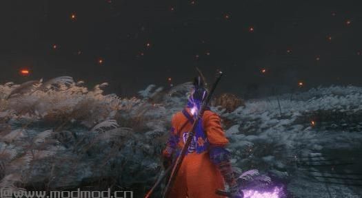 Sekiro Saiyan（龟仙流武道服）下载+安装说明