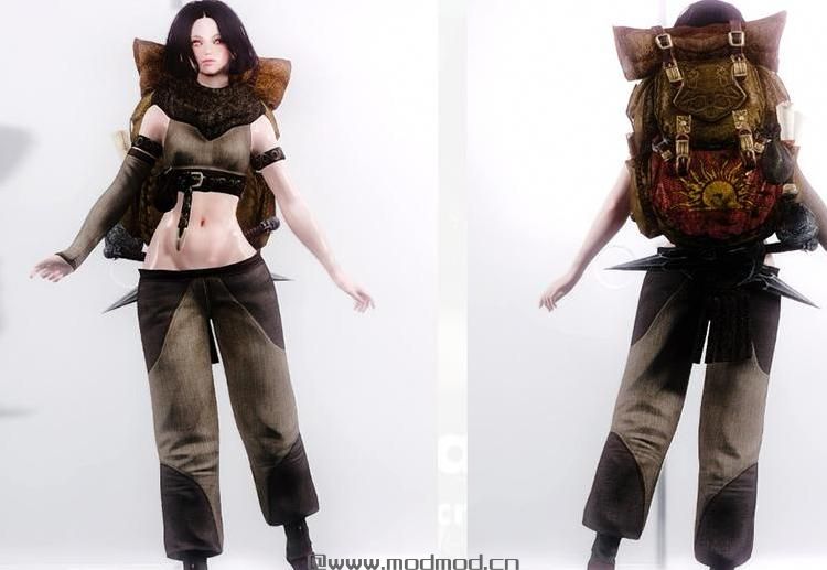谁能给我上古卷轴5吸血鬼随从妹子米娜哈克美化Mod吗？