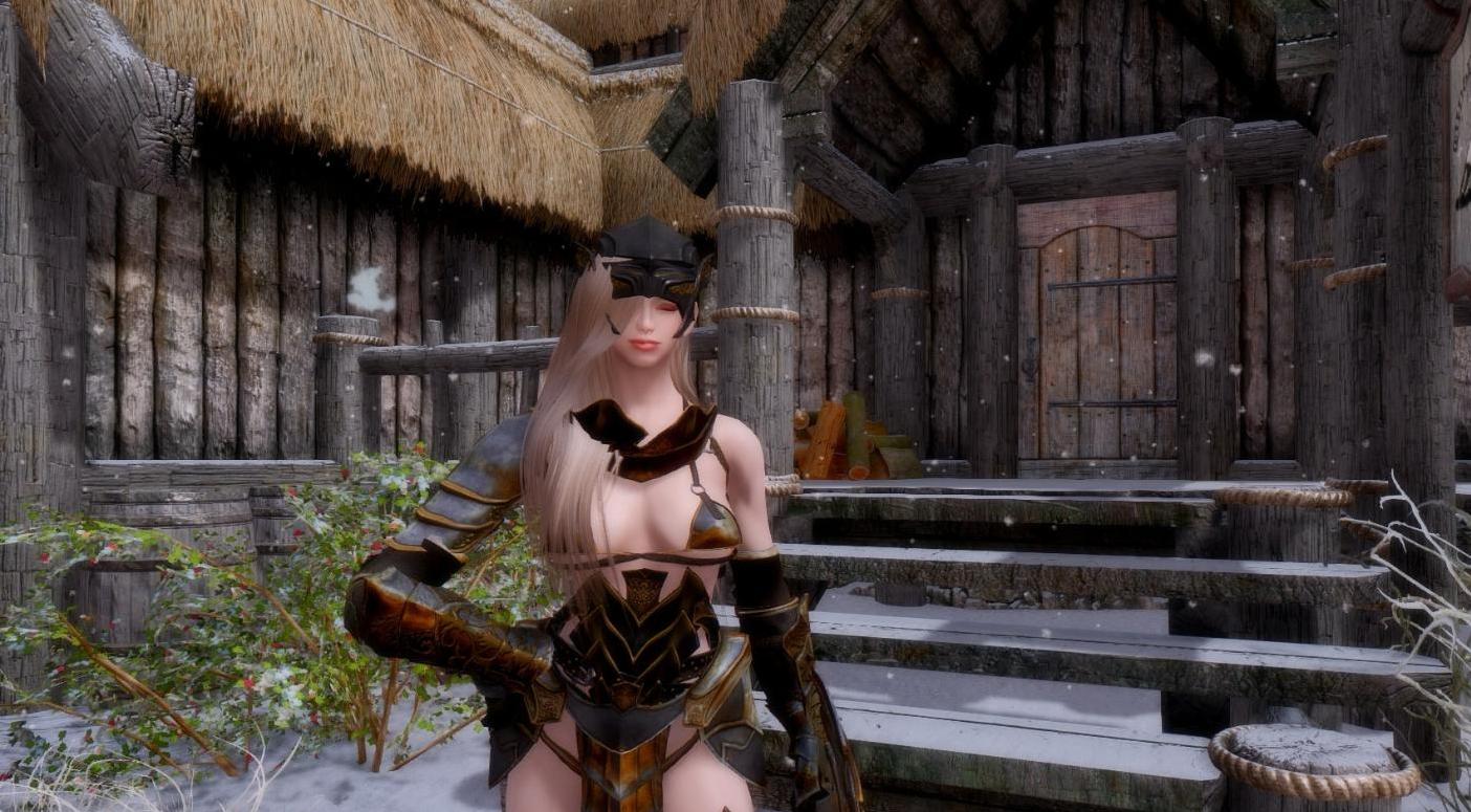 谁能给我上古卷轴5武僧骑士妹子随从Mod吗？