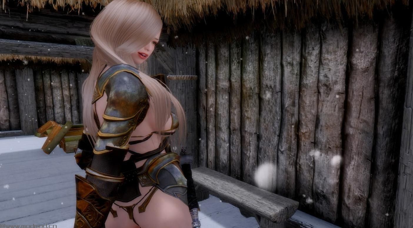 谁能给我上古卷轴5武僧骑士妹子随从Mod吗？
