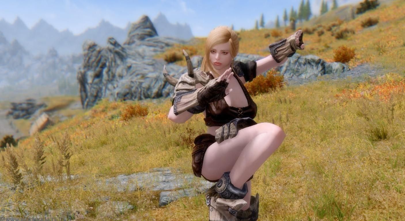谁能给我上古卷轴5武僧骑士妹子随从Mod吗？