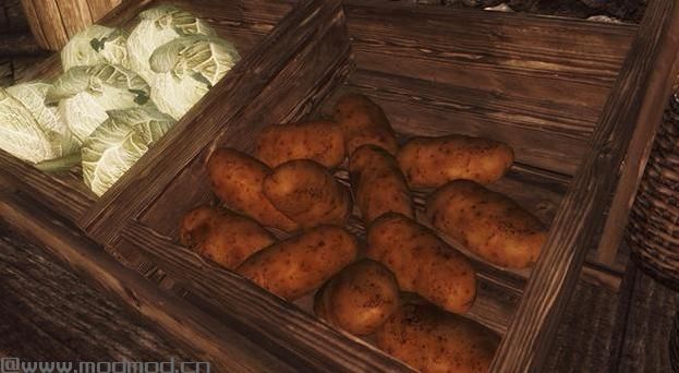 求哪里可以下载上古卷轴5身临其境的食物Mod？来分享上古卷轴5身临其境的食物Mod下载资源！求分享上古卷轴5身临其境的食物Mod下载地址!哪里有上古卷轴5身临其境的食物Mod百度网盘地址!