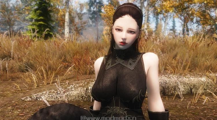 请问谁有免费使用的上古卷轴5冒险者卡琳冰魔法师随从Mod?