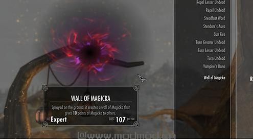 谁能给我上古卷轴5：天际重制版斗转星移魔法转移Mod下载地址吗？