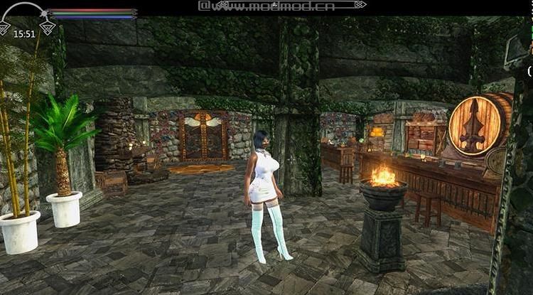 求上古卷轴5自由之地房屋Mod资源！
