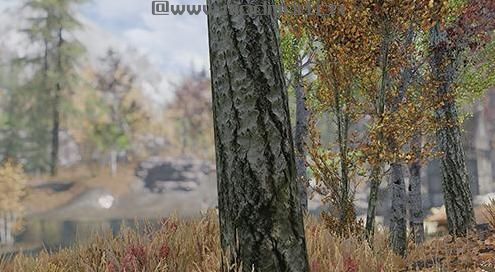 谁能给我上古卷轴5：天际重制版单独真实树木材质Mod下载地址吗？