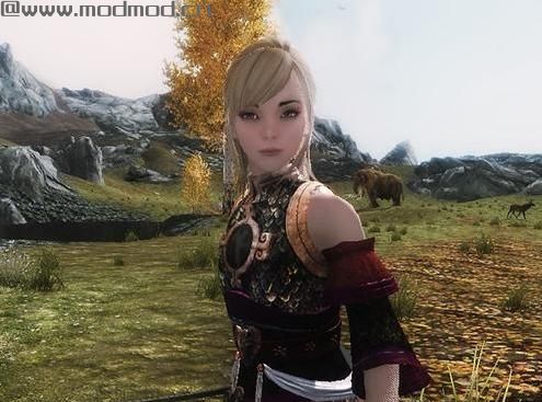 求上古卷轴5战神公主小陈随从Mod资源！
