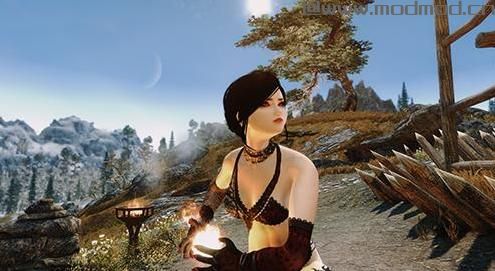 请问谁有免费使用的上古卷轴5魔剑士巨乳玛丽吸血鬼随从Mod?