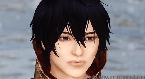 请问谁有免费使用的上古卷轴5魔剑士阿尔伯特独立随从Mod?