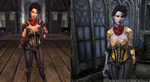 谁能给我上古卷轴5：天际重制版CBBE暗黑3恶魔猎手护甲套装Mod下载地址吗？