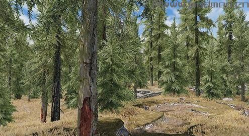 谁能给我上古卷轴5：天际重制版单独真实树木材质Mod下载地址吗？