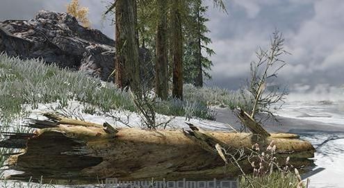 谁能给我上古卷轴5：天际重制版单独真实树木材质Mod下载地址吗？