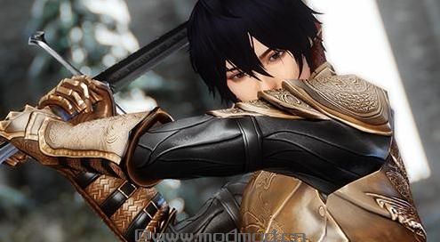 请问谁有免费使用的上古卷轴5魔剑士阿尔伯特独立随从Mod?