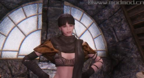 谁能给我上古卷轴5刺客和盗贼性感美女随从Mod下载地址吗？