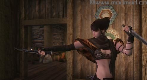 谁能给我上古卷轴5刺客和盗贼性感美女随从Mod下载地址吗？