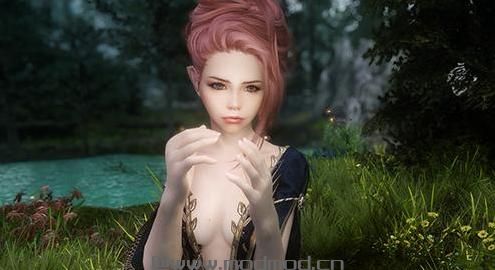 求上古卷轴5 木精灵魔剑士娜芮娅美女随从MOD资源！
