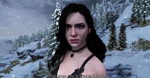 谁能给我上古卷轴5：天际重制版 巫师3叶奈法独立语音随从mod下载地址吗？