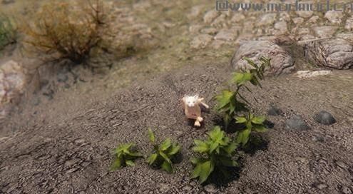 求上古卷轴5 喵星人查理随从MOD资源！