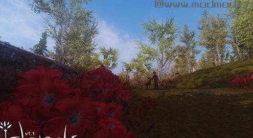 上古卷轴5 NPC天际牧民MOD v1.1