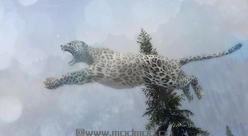 求上古卷轴5 美洲狮和美洲豹生物MOD网盘！
