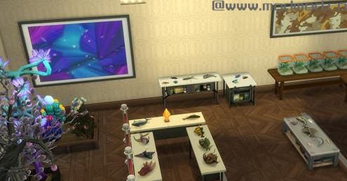 模拟人生4 v1.36全收藏品收集房屋MOD