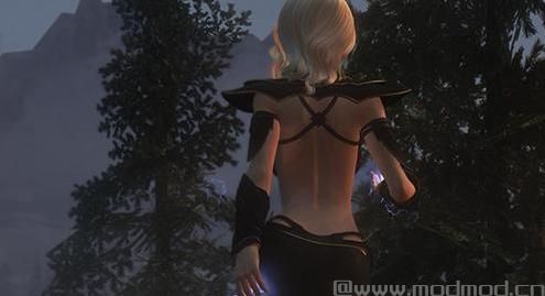 上古卷轴5:天际重制版 闪电法师瓦拉御姐随从MOD