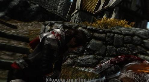 上古卷轴5 VioLens终结技动作包MOD v2.11