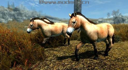 谁能给我上古卷轴5 欧洲野牛原牛和野马生物MODmod下载地址吗？