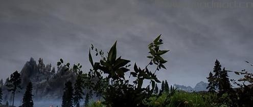 请问谁有免费使用的上古卷轴5 多样化的花花草草大修MOD?