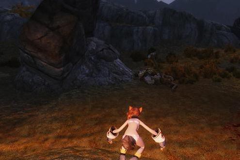 求哪里可以下载上古卷轴5：天际重制版 狼人萝莉美化MOD？