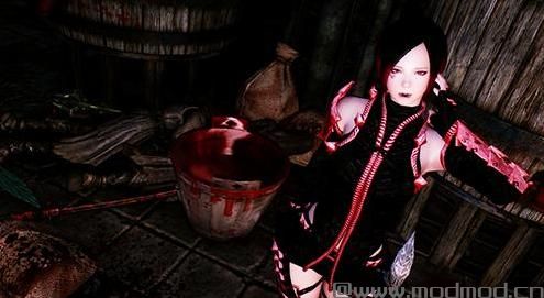 上古卷轴5 血族佣兵短发妹子弗雷独立随从MOD
