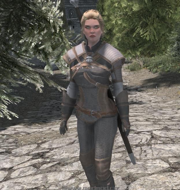 谁能给我上古卷轴5 巫师3Eskel猎魔人护甲套装MODmod下载地址吗？