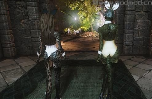 求上古卷轴5 HDT CBBE万能兔女郎套装MOD网盘！