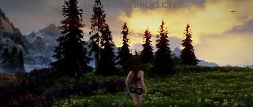 请问谁有免费使用的上古卷轴5 多样化的花花草草大修MOD?