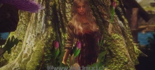 求哪里可以下载上古卷轴5 美女游侠贝莉亚歌芙独立随从MOD？