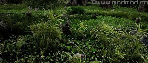 请问谁有免费使用的上古卷轴5 多样化的花花草草大修MOD?