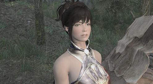 请问谁有免费使用的上古卷轴5 温柔治疗师大姐姐洛莲西雅随从MOD?