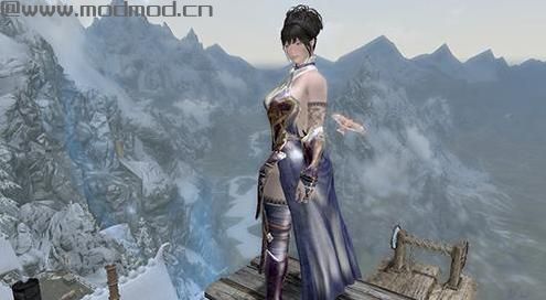 请问谁有免费使用的上古卷轴5 温柔治疗师大姐姐洛莲西雅随从MOD?