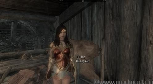 求分享上古卷轴5 盖尔加朵版神奇女侠随从MOD下载地址!