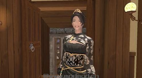 求上古卷轴5 挑战公主莉兰妮独立随从MOD网盘！