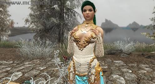 哪里有上古卷轴5 战斗刺客杰德随从MOD百度网盘地址!