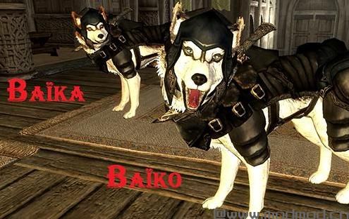 求哪里可以下载上古卷轴5：天际重制版 双重召唤坐骑MOD汉化版？