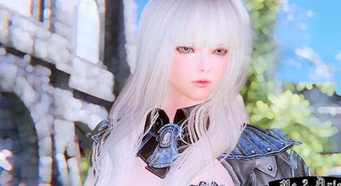 哪里有上古卷轴5 白发重甲师少女阿琳独立随从MOD百度网盘地址!