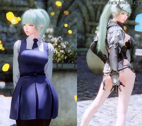 上古卷轴5 冰霜冲击精灵女埃莉诺随从MOD v1.04