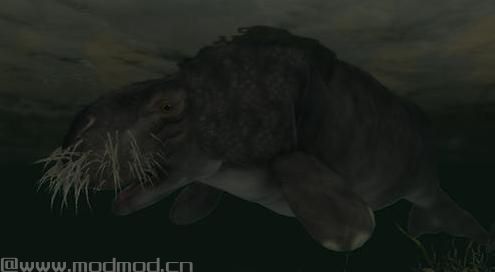 上古卷轴5 儒艮海牛生物MOD