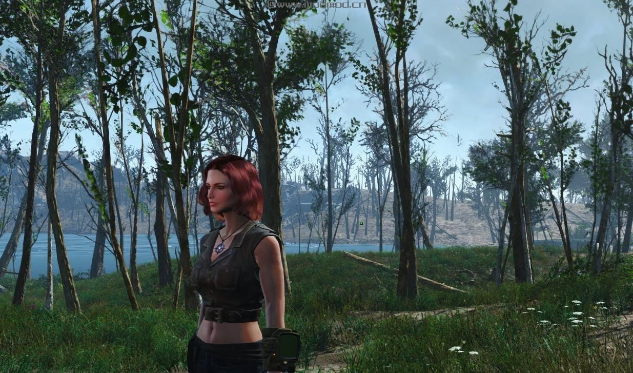 辐射4MOD：自整合春季美化包