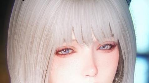 上古卷轴5：天际MOD：韩网女随从玛雅~~CBBE身形~随从类MOD~V1.2