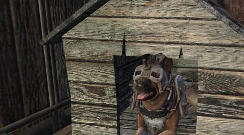 辐射4MOD：新的狗窝材质